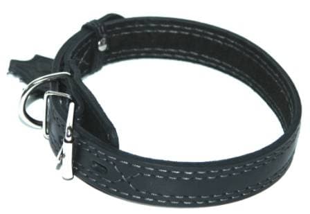 Շան վզկապ LOORI կապույտ 20մմ