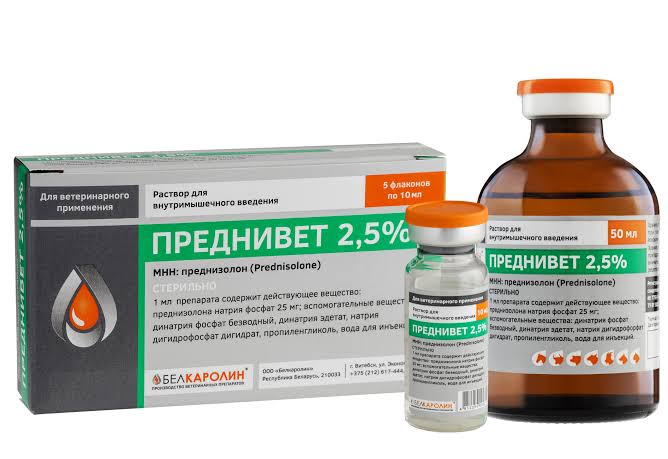 Պրեդնիվետ 2.5% 10մլ