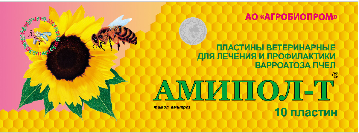 Ամիպոլ-Տ