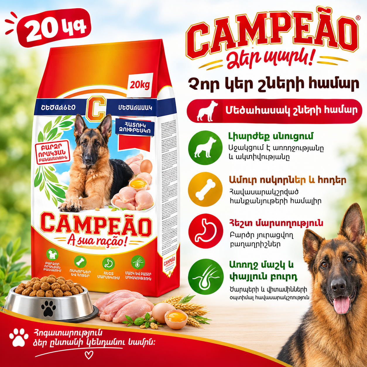 CAMPEAO ADULT չոր կեր շների համար ձվով