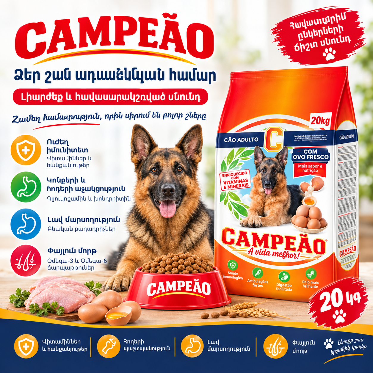 CAMPEAO շան կեր ձվով